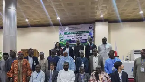 Energy Efficiency: ECN, JICA Push for Tougher Policies in Nigeria