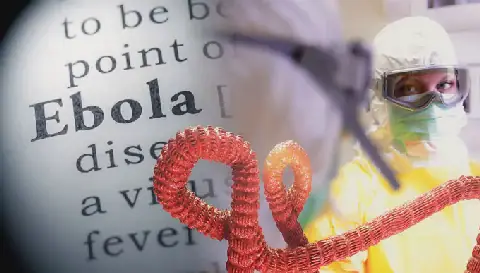 Ebola Outbreak in Congo Continues to Spread