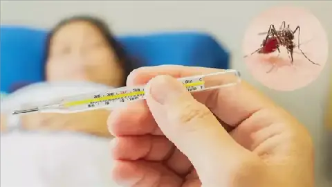 Florida Declares State of Emergency Due to Dengue Fever Outbreak