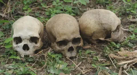 Nigerian Authorities Uncover 28 Human Skulls in Abia State