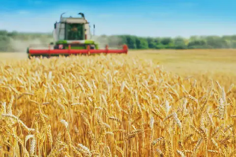 Tunisian Solidarity Bank Allocates Funds for Small Farmers