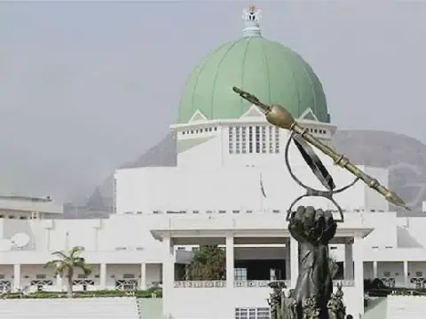 National Assembly to Translate Laws into Local Languages for Enhanced Public Access