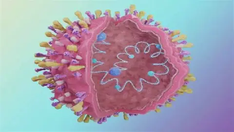 Egypt's Health Ministry Warns of Respiratory Syncytial Virus