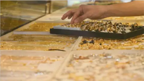 Egypt Sees Surge in Gold Sales as Prices Drop