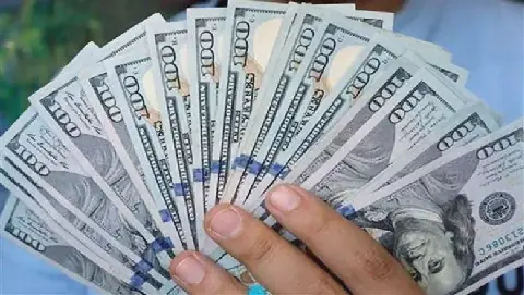 Egyptian Pound Steady Against US Dollar in Banks on Tuesday