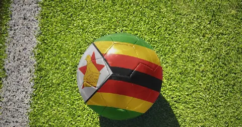 The Zimbabwean players who made their name in European football image