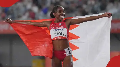Yavi