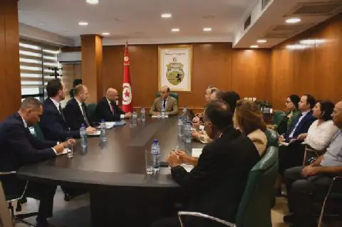 Tunisia's Industry Ministry Explores Cooperation with Austrian Energy Firm OMV