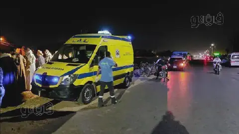 Student Killed in Cafe Brawl in Egypt's Minya Governorate