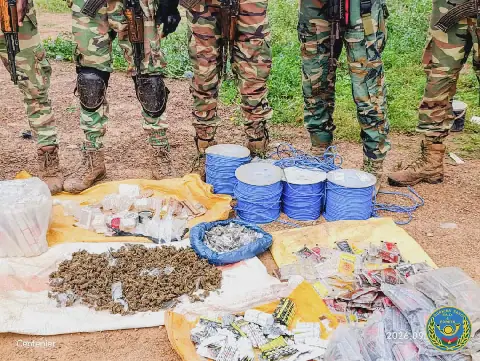 Les Eaux et Forêts du Burkina Faso multiplient les actions de secours et de protection