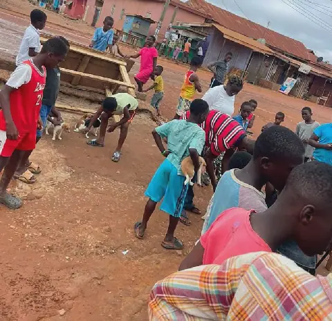 Ghana's Atwima Nwabiagya North District Celebrates World Rabies Day with Free Vaccination Drive