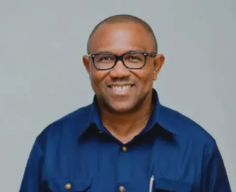 The Resilience of Peter Obi in Nigerian Politics