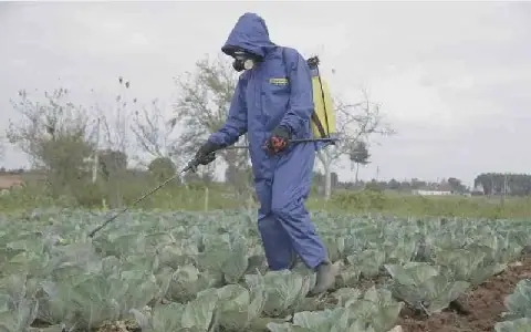 Kenyan Farmers Warned Over Rising Threat of Counterfeit Pesticides
