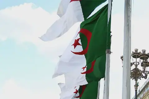 Algeria Establishes Council for National Scientific Diaspora