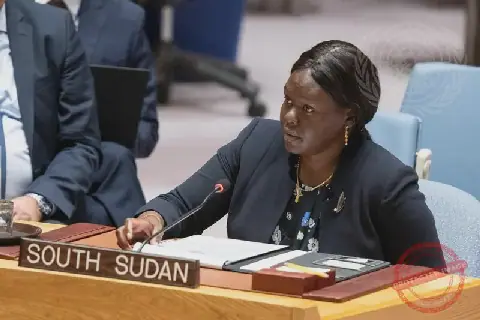 Foreign Minister Urges UN to Shift Focus from Peacekeeping to Capacity Building