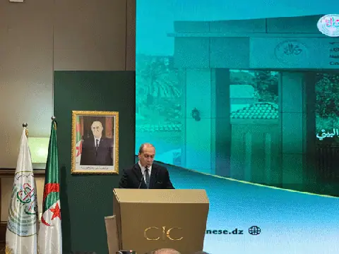 Algerian Council Discusses Private Tutoring, Public Services, and Breast Cancer Care