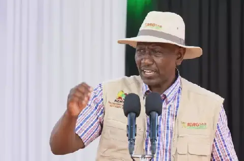 Ruto warns ‘brokers’ against frustrating Sh2.9 trillion Dangote refinery project