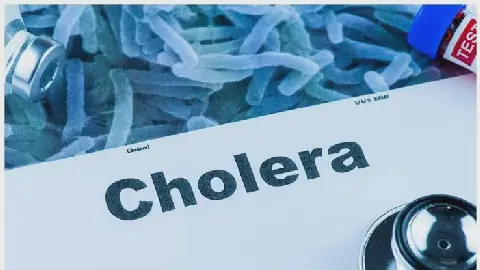 Nigeria, six others account for 90% of global cholera deaths — WHO