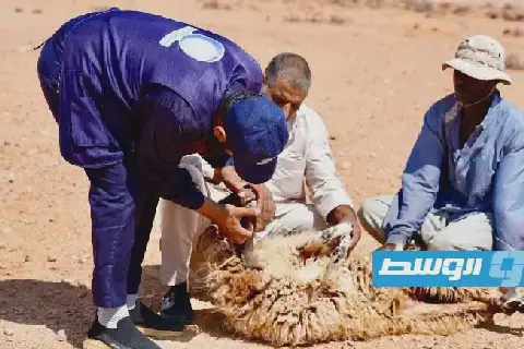 فرق بيطرية تبدأ تطهير مناطق السيول في نسمة ومزدة