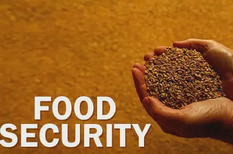 NBCC, NEXIM Emphasize Integrated Food Ecosystem for Food Security in Nigeria