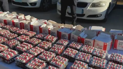 Algerian Authorities Dismantle Drug Trafficking Network