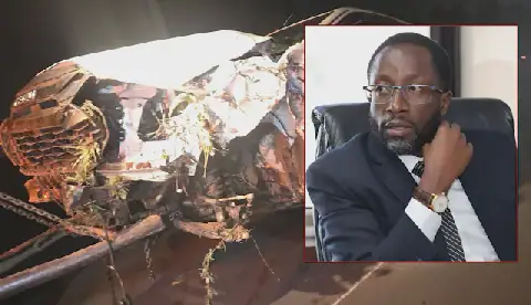 Kitutu Masaba MP Clive Gisairo Involved in Accident with Interior Ministry Vehicle