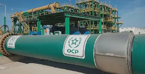 OCP Maintains Resilience in Challenging Market Conditions