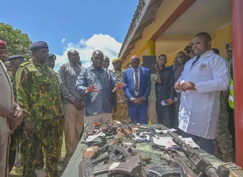One‑Month Amnesty Launched for Voluntary Surrender of Illegal Firearms