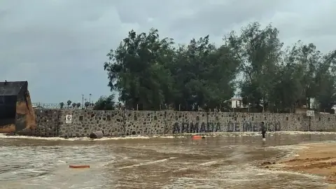 Hurricane Polo makes landfall on Mexico’s Pacific coast