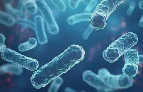 Moroccan Doctor Warns of Diphtheria Resurgence