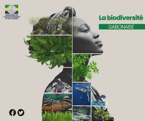 Gabon/Biodiversité : un atelier prévu pour finaliser le Plan de financement de la biodiversité