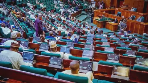 Reps Sound Alarm on Mass Youth Unemployment, Demand Textile Revival and 1m Agro-Processing Jobs