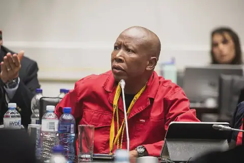 Malema Granted Leave to Appeal Conviction and Sentence in Firearm Case