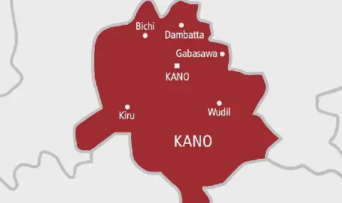 NFSS Deploys Personnel After Suspected Rabid Dogs Bite 18 in Kano