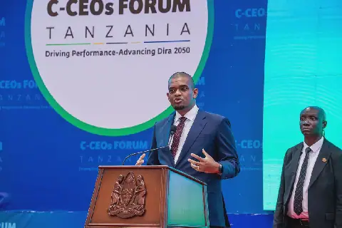 Tanzania State Offers Bumper Internships to Drive Investment and Job Creation