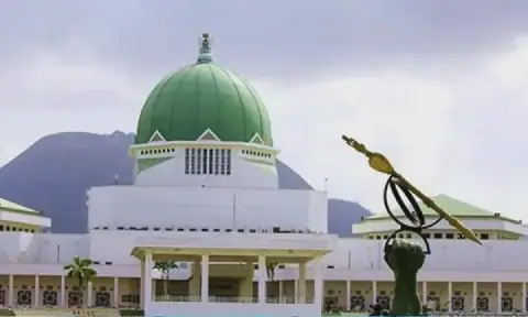 Nigerian Laws to be Translated into Local Languages for Better Access