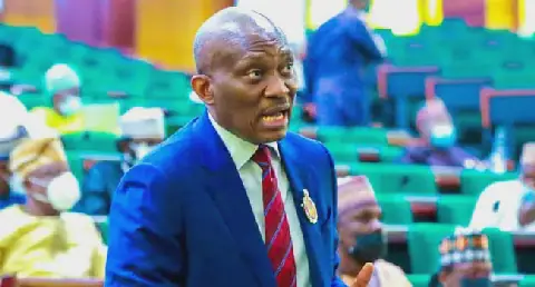 Elumelu injects N3.5m into Smart Meka's back-to-school initiative