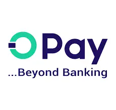 OPay Announces Top 10 Teams in N18m National Innovation Challenge