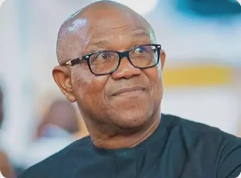 El-Rufai's Son Expresses Gratitude to Peter Obi for Support During Detention