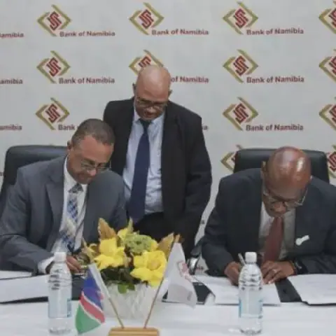 Namibia's Gold Purchases Hit N$767.7m, Welwitschia Fund Sees 9.4% Return