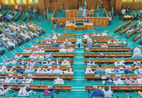 Nigerian Reps Extend 2025 Capital Budget Implementation Deadline