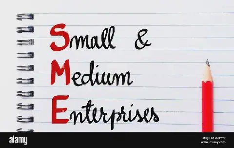 Family businesses dominate Nigeria's SMEs, contribute significantly to GDP