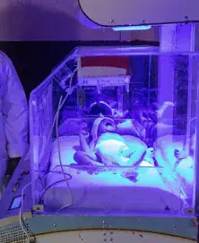 Bacterial Contamination of Inanimate Surfaces in Neonatal Units of Hospitals in Brazzaville