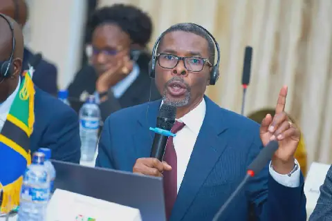 Tanzania, Burundi begin joint UPC to review and bolster socio-economic ties