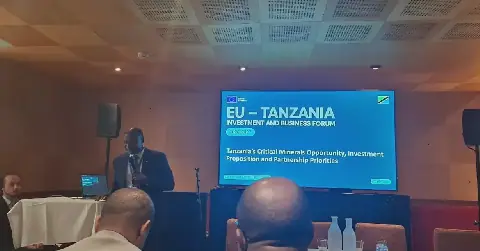 Tanzania Moves to Transform Mining Sector into Higher-Value Mineral Products