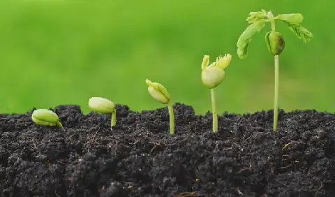 Tunisia Focuses on Soil Health and Green Water in Agriculture