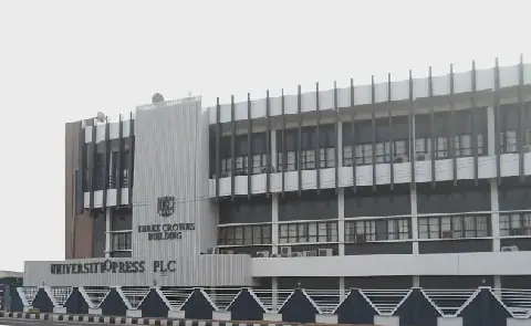 UP Plc raises dividend to 18 kobo at 2026 AGM