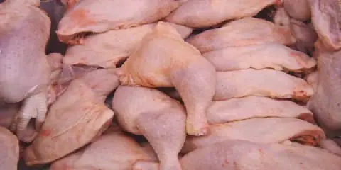 Tunisia's Poultry Sector Sees Stable Supply, No Impending Crisis