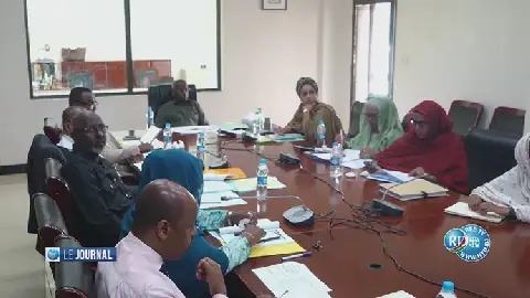 Djibouti's Government Reviews Roadmap for Human Capital and Social Cohesion