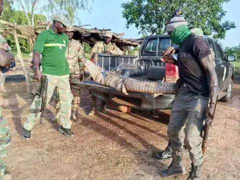 Kourweogo : Un crocodile capturé après l’agression d’un mineur